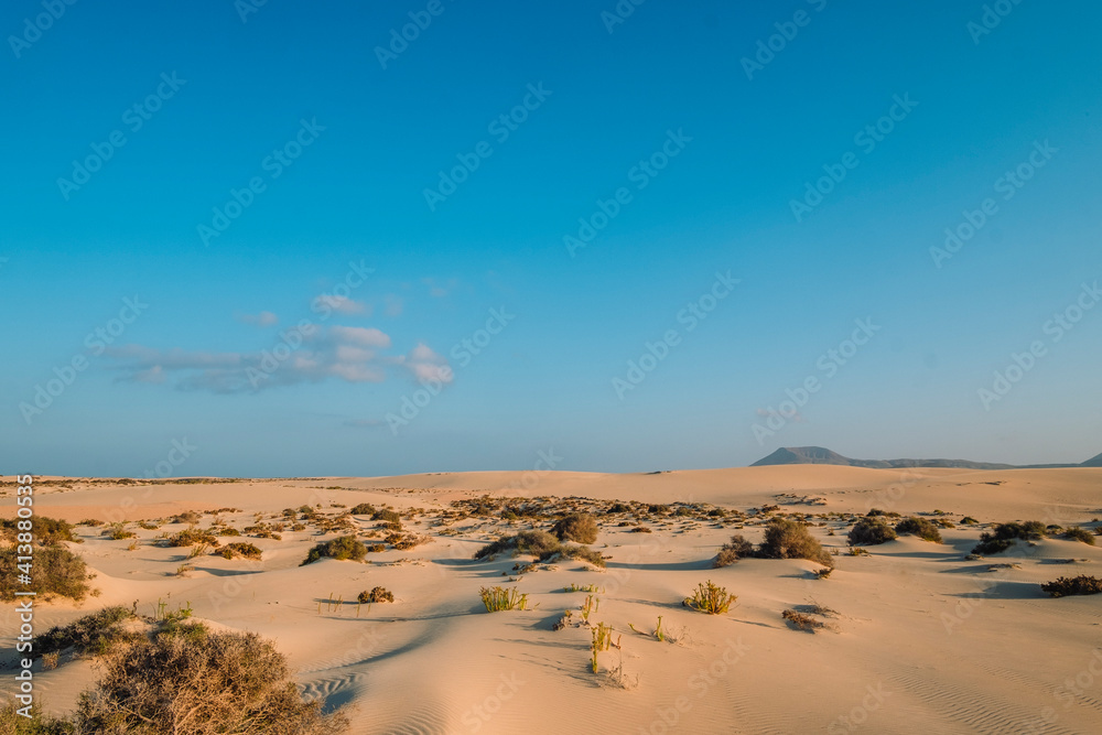 Dunes of Corralejo Natural Park landscape in Fuerteventura Dunes of Corralejo Natural Park landscape in Fuerteventura