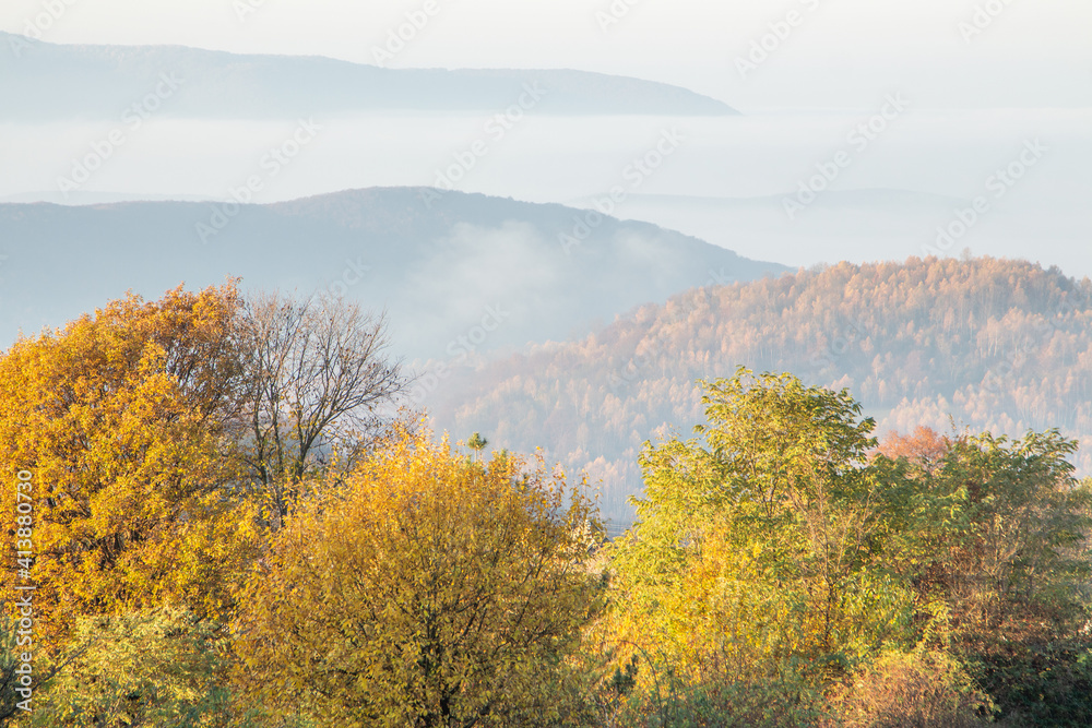autumn trees on a background of mountains in the morning fog.