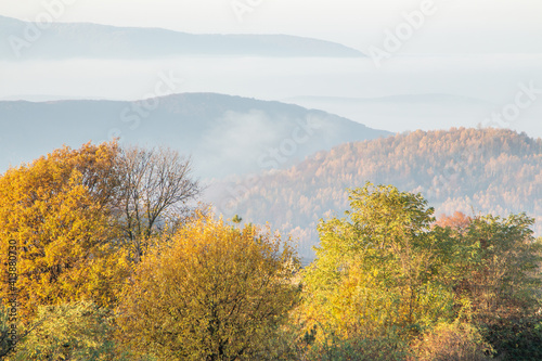 autumn trees on a background of mountains in the morning fog.