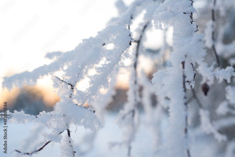 Obraz premium Winter. Snow. Sky.