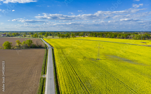 Aerial drone look to long road between yellow fields of colza at cloudy sunny day