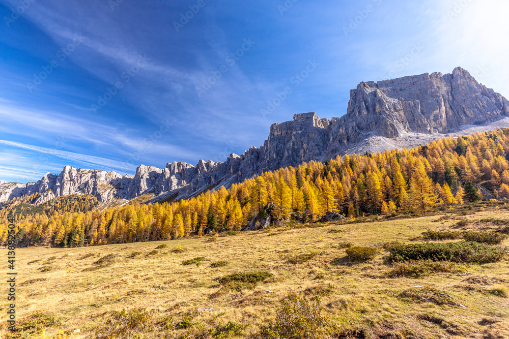 Larch trees at feet of Lastoi De Formin in autumn, Dolomites, Veneto Larch trees at feet of Lastoi De Formin in autumn, Dolomites, Veneto
