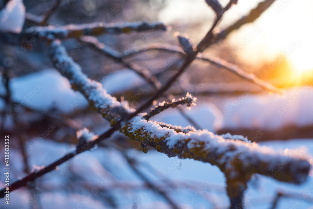 Winter. Snow. Sky.