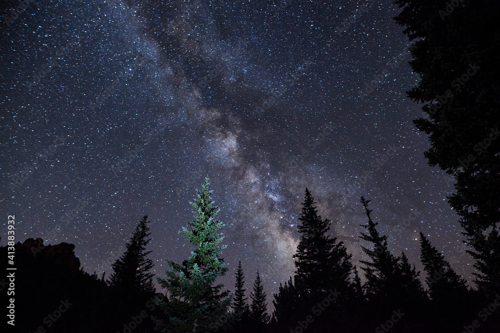 Milky Way at night over the silhouette of trees Milky Way at night over the silhouette of trees