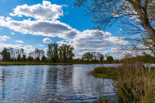 Landscape of Odra river with grass and bushes in front of at cloudy sunny day