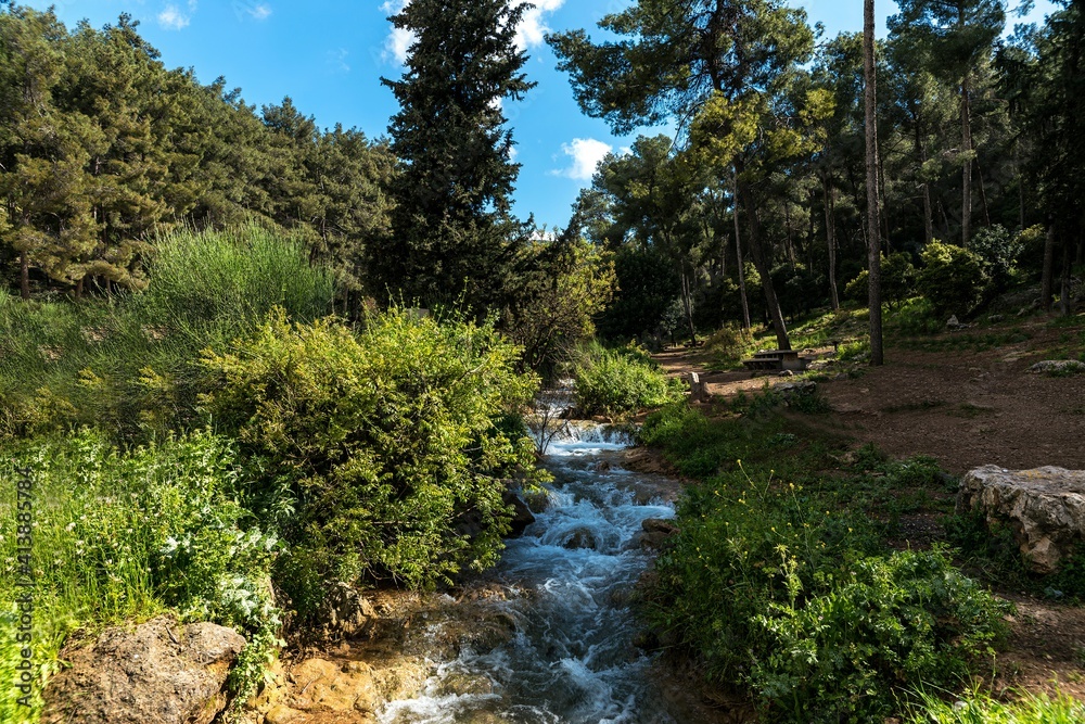 Fototapeta premium A small stream in the mountains