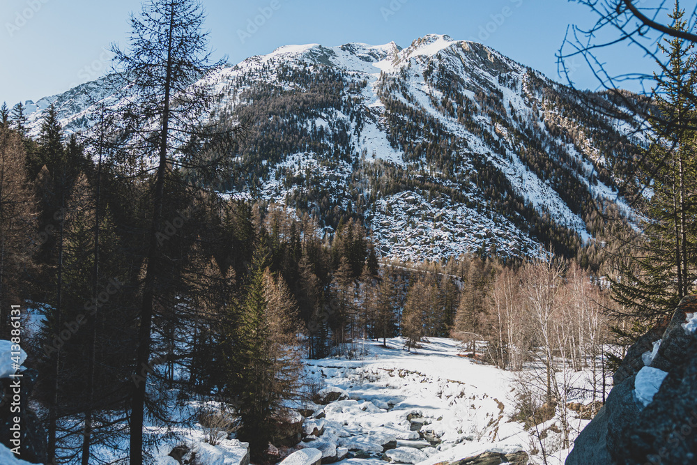 River and trees with a mountain in winter, Cogne, Aosta Valley, Italy