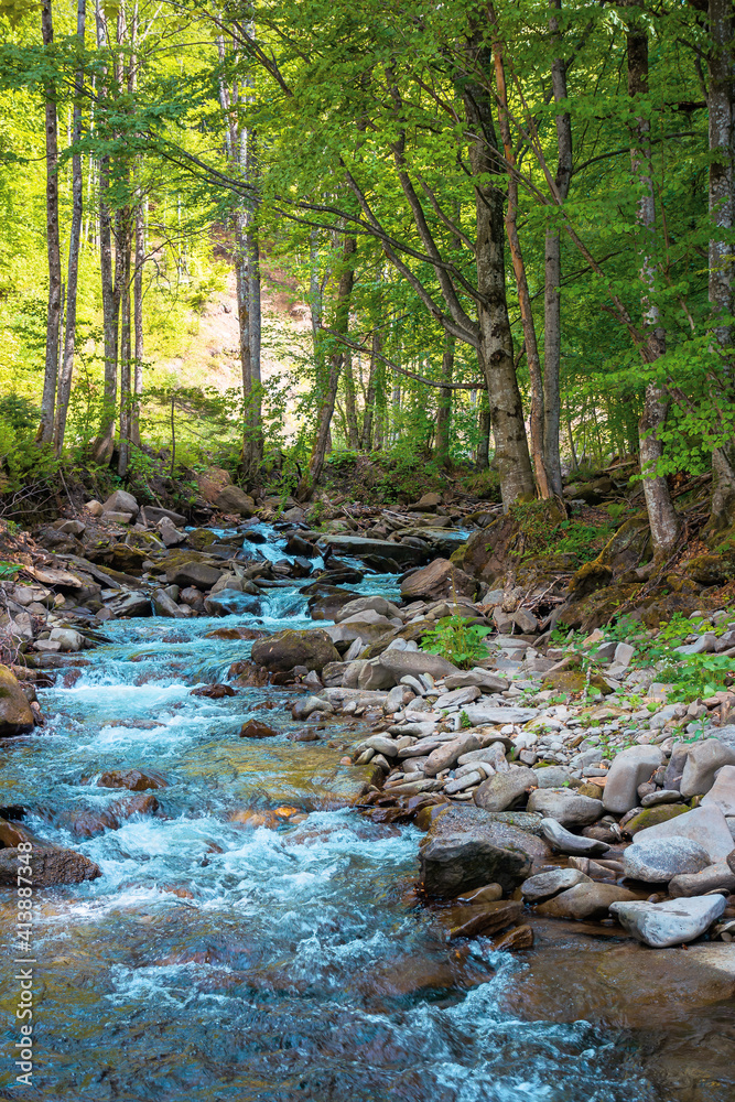 mountain river runs through forest. summer nature scenery on a sunny day. rapid water flows among the rocks. trees on the shore in lush green foliage mountain river runs through forest. summer nature scenery on a sunny day. rapid water flows among the rocks. trees on the shore in lush green foliage