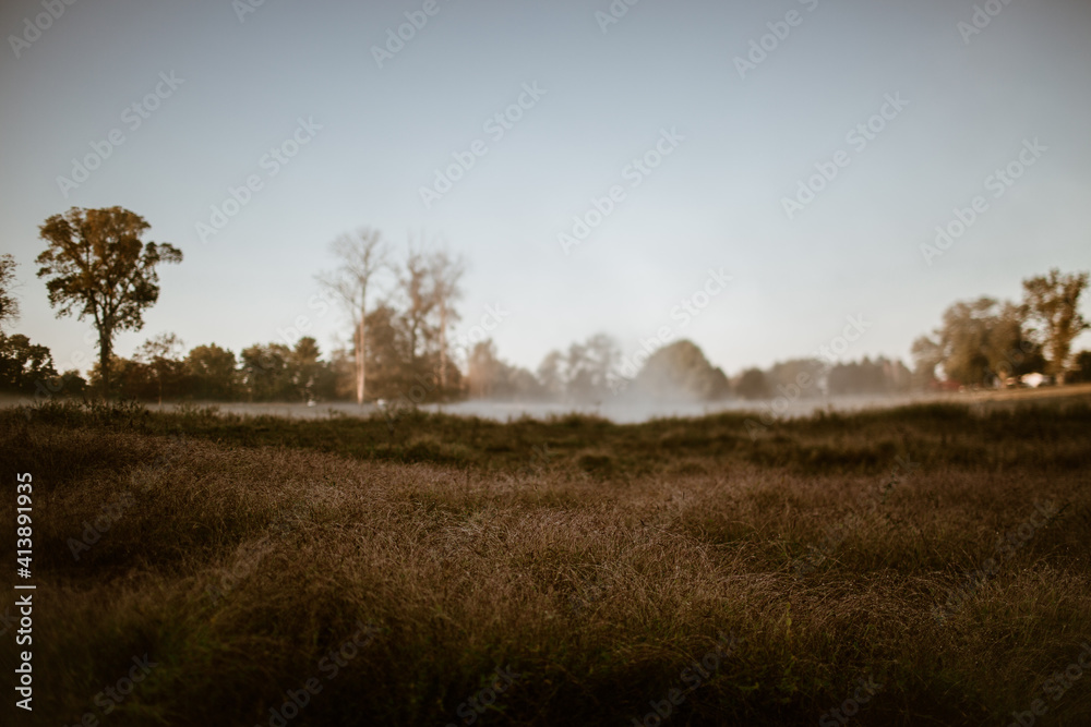 Morning dew and fog on grassy rural field Morning dew and fog on grassy rural field