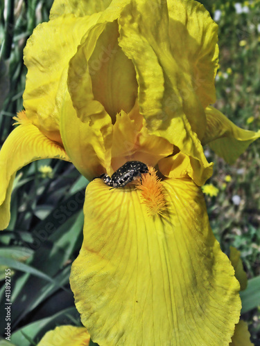 Unity of the Nature.Composition 1.