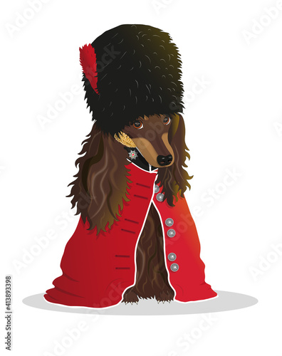 Obraz na plátně Image of a dachshund in a guardsman costume in vector