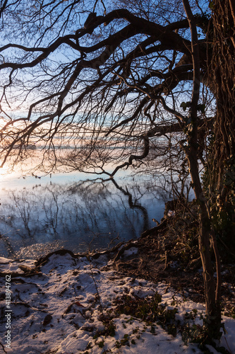 Lakeside view with snow and knotty branches.