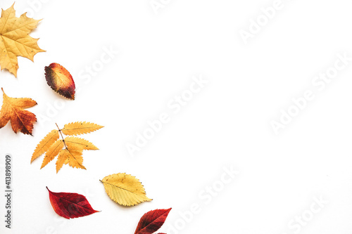 Multicolored autumn leaves on a white background. Nearby copy space.