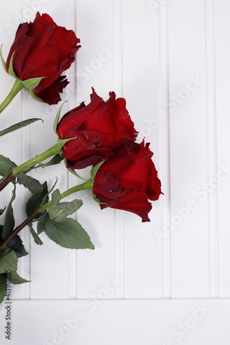 Róże bordowe trzy na białym drewnianym blacie