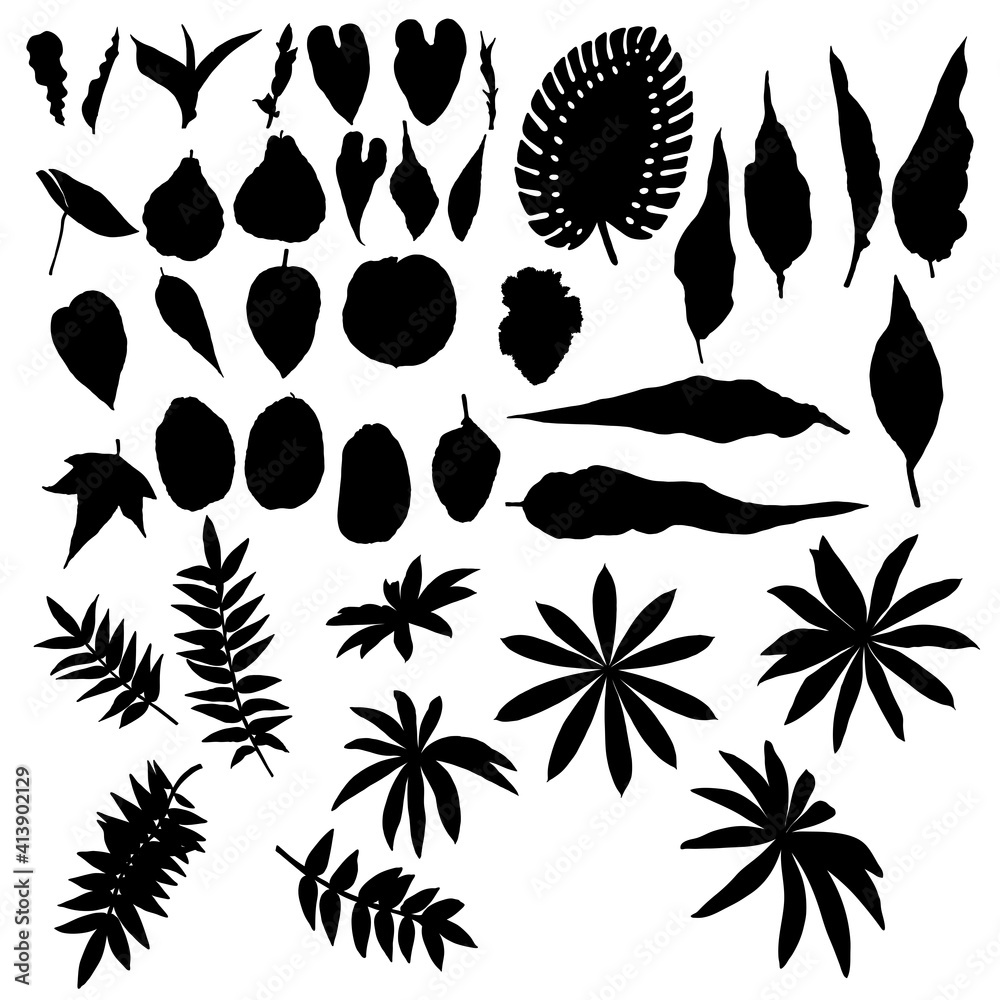 Leaf silhouette collection, foliage set. Domestic spring leaves, botanical illustration of hand drawing elements made of real live forest and home plants. Vector.