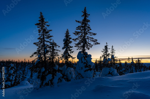 Winter evening up in the Totenåsen Hills, Norway.
