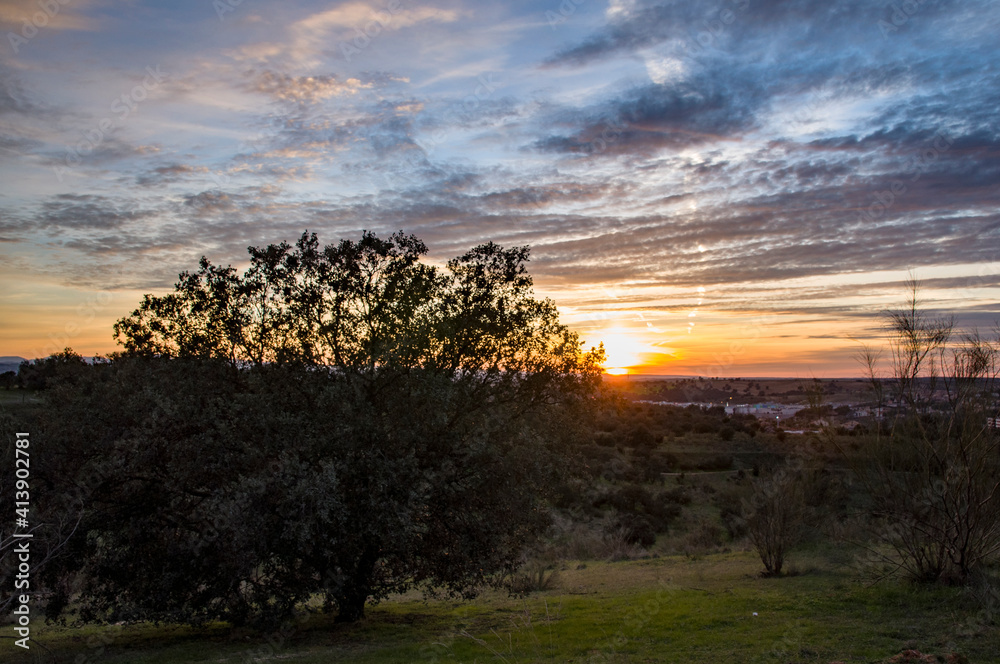 Nos vamos despidiendo del invierno. El Beato, Toledo, Castilla la Mancha, España Nos vamos despidiendo del invierno. El Beato, Toledo, Castilla la Mancha, España