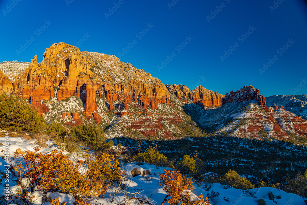 Snow Covered Mesquite on Brim's Mesa and Steamboat Rock