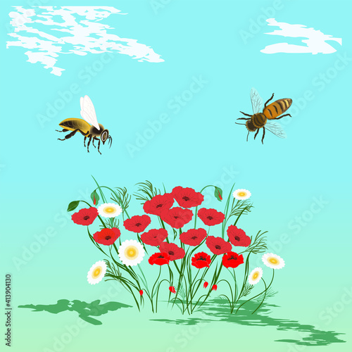 Wildflowers  poppies  chamomiles  flying bees - vector. Spring motive.