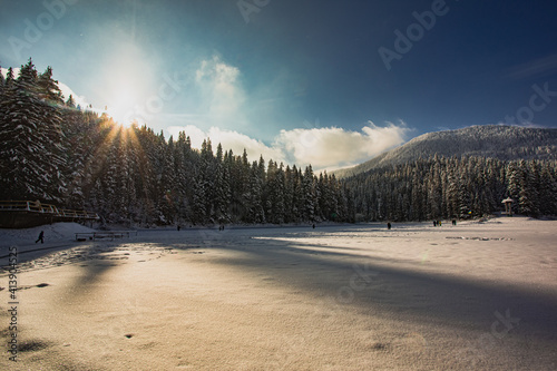 Snow covered pine trees at the mountains photo