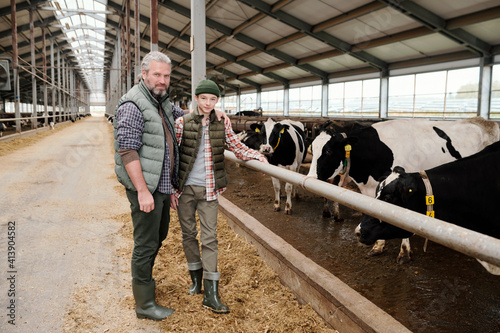 Mature man and teenage boy in workwear standing by large paddock with cows