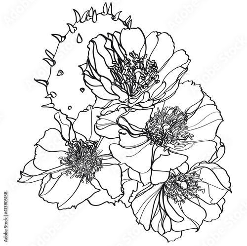 Wallpaper Mural black and white flowers Torontodigital.ca