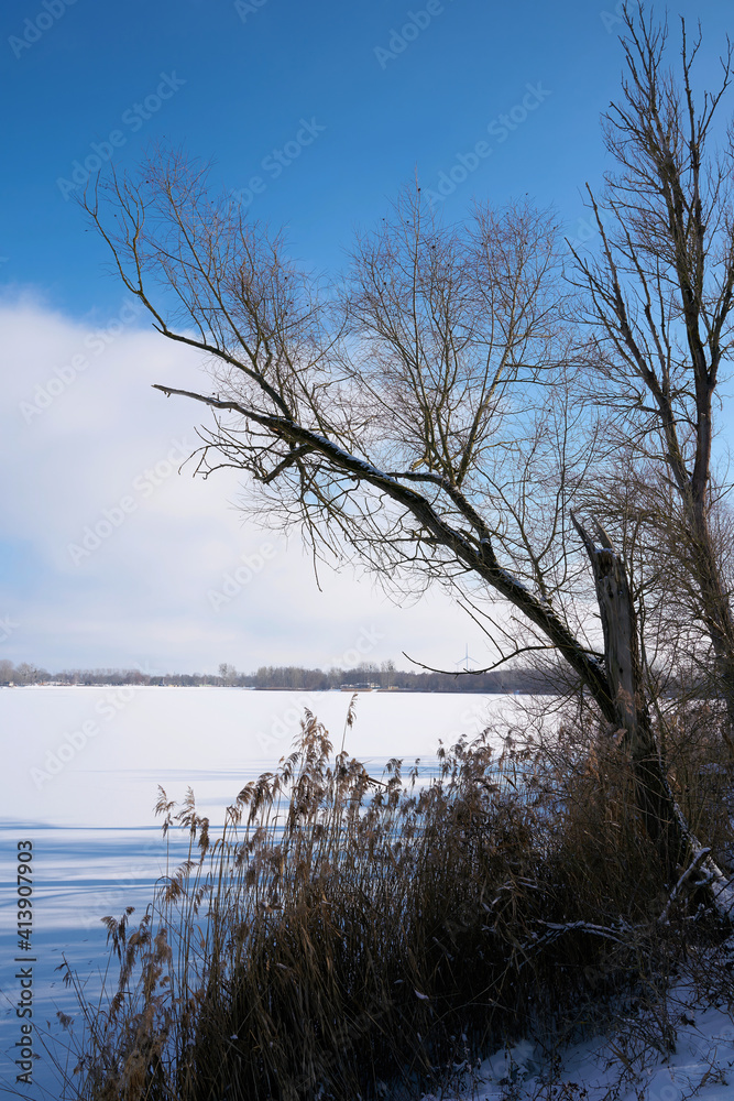 Schneelandschaft mit Bäumen im Winter am Barleber See bei Magdeburg Schneelandschaft mit Bäumen im Winter am Barleber See bei Magdeburg
