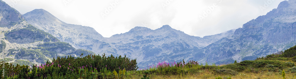 Obraz premium Pirin Mountains panorama, Bulgaria, summer landscape, august 2020