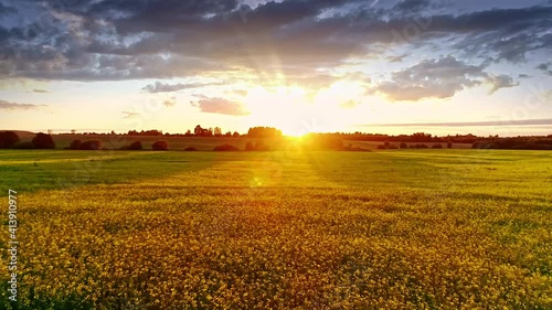 Beautiful nature, aerial drone lateral motion view on rural countryside landscape with blooming canola oilseed golden yellow field, shining sun beams, sunset sky horizon