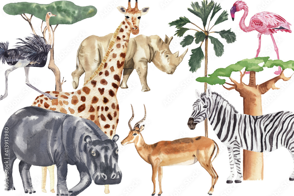 Safari Animal Illustrations. Watercolor Jungle Animals Hand Painted 