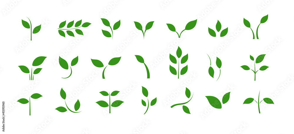 A set of icons with spring leaves. Spring. Green leaves on a separate background. - obrazy, fototapety, plakaty 
