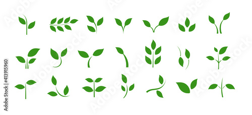 A set of icons with spring leaves. Spring. Green leaves on a separate background.