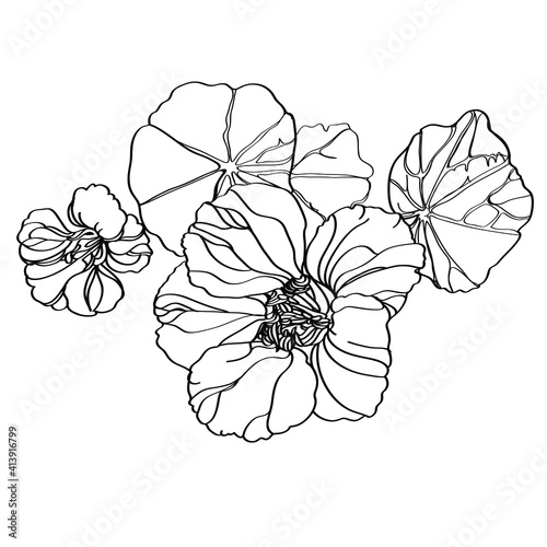 black and white flowers