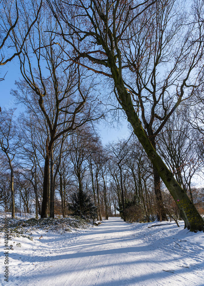 Fototapeta premium Sledging on the Kaiserberg in Duisburg in the sunshine