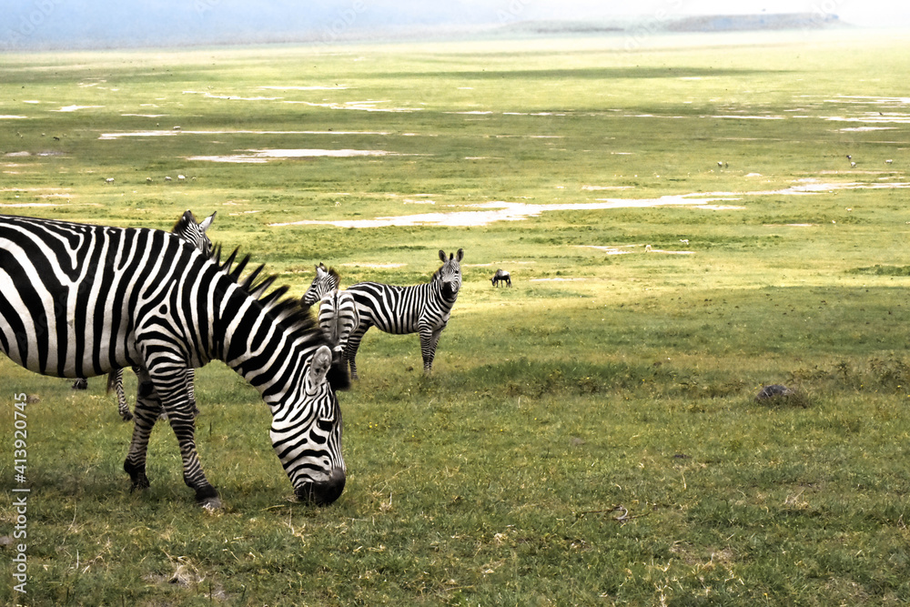 Naklejka premium Alrededor del mundo