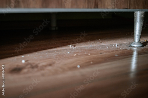 Close-up of dust and crumbles on the floor under floor