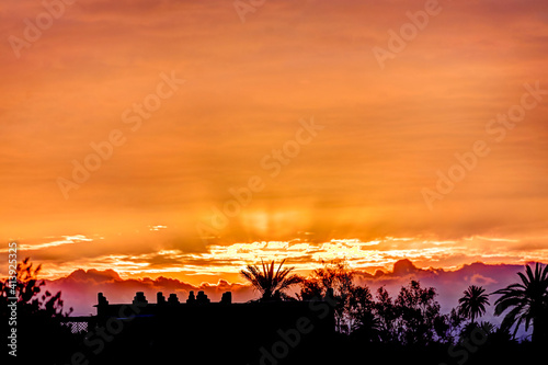 Sunrise over the palm trees of Skoura Morocco