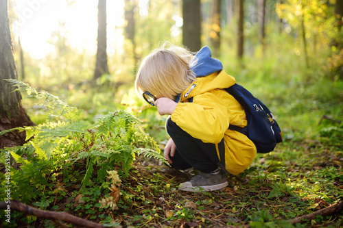 Preschooler boy is exploring nature with magnifying glass. Little child is looking on leaf of fern with magnifier. Summer vacation for inquisitive kids in forest. Hiking. photo