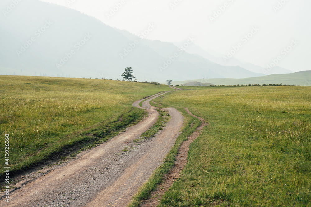 Beautiful green mountain landscape with long dirt road and big mountains in fog. Atmospheric foggy mountain scenery with length road among hills. Scenic view to tree near dirt road in big mountains.