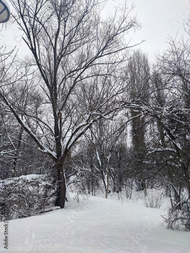 Winter view of South Park in city of Sofia, Bulgaria