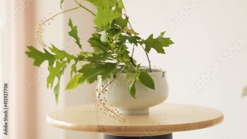Mesa con arreglo de plantas