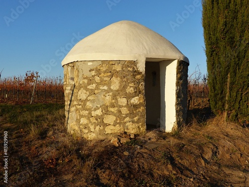 Weinbergtrulli mit Baum seitlich und Weinbergen im Hintergrund bei Westhofen / Rheinhessen photo