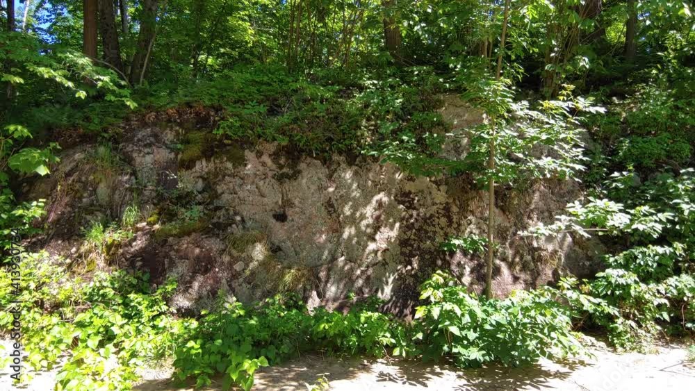 horizontal shot of a beautiful wooded landscape on a sunny day. horizontal shot of a beautiful wooded landscape on a sunny day.