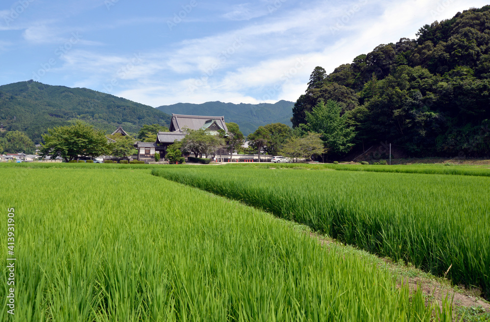 橘寺 遠景 奈良県明日香村 橘寺 遠景 奈良県明日香村