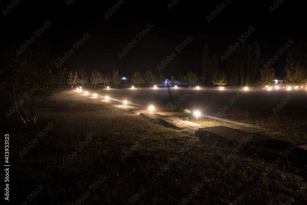 Trees and street lamps on a quiet foggy night. Foggy misty evening lamps in empty road.