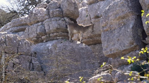 Landscape of karst rocks in Torcal (Antequera, Spain)