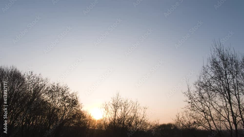 Rising over treetops to see beautiful sunlight through fog over morning landscape. Aerial. Rising over treetops to see beautiful sunlight through fog over morning landscape. Aerial.