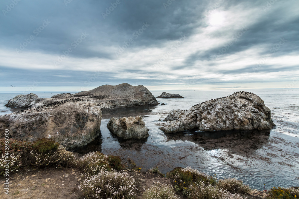 dramatic landscape photo of Big Sur,California during summer. dramatic landscape photo of Big Sur,California during summer.