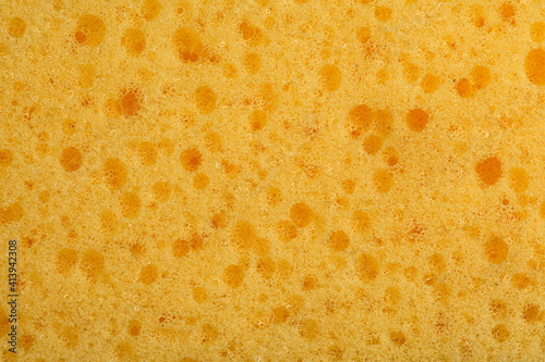 Detailed closeup macro of sponge texture showing detailed holes and structure