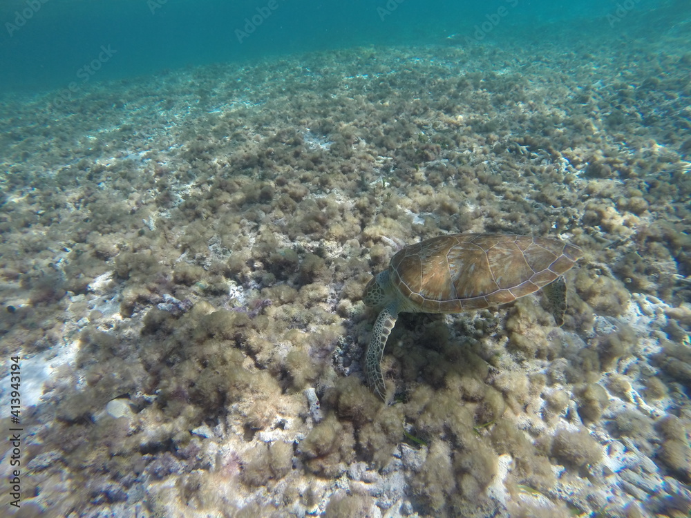 Naklejka premium DCIM\100GOPRO